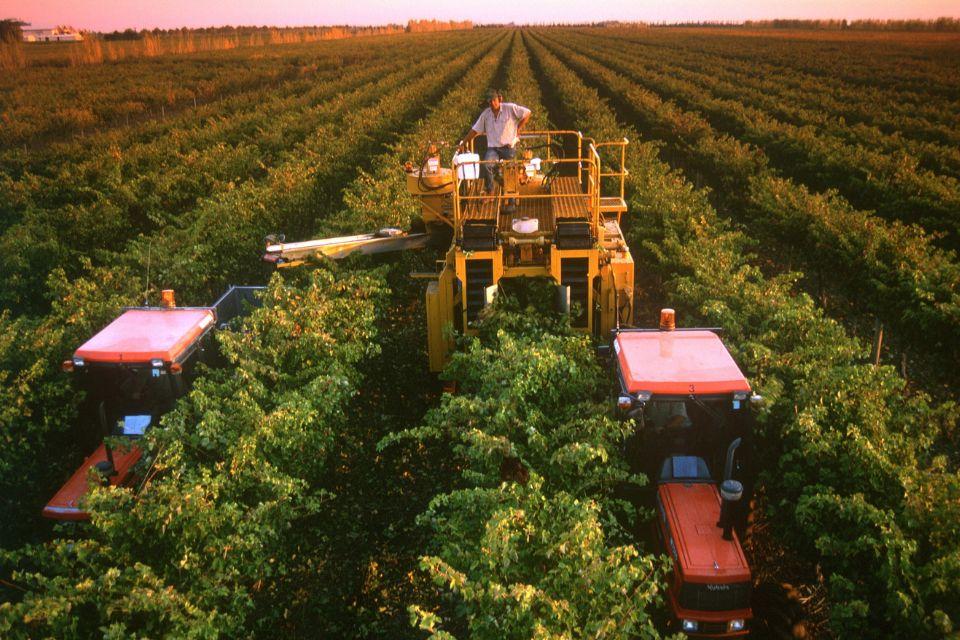 Coonawarra Zuid-Australië