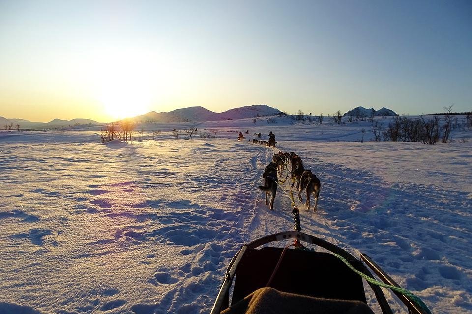 Slederit met huskyhonden in Lapland, Noorwegen