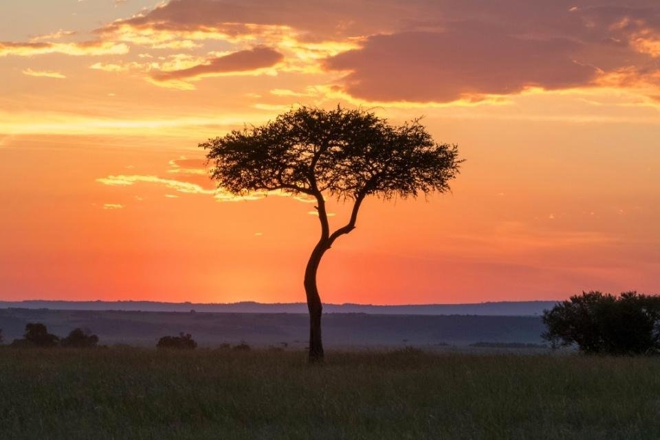 Masai Mara, Kenia
