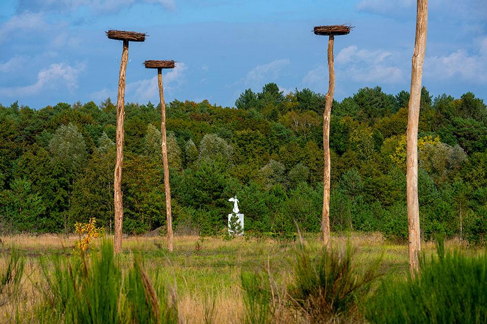 La Biomista van Koen Vanmechelen Genk België