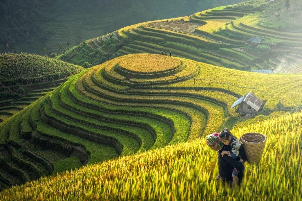 Hmong-moeder met kind in de rijstterrassen van Lao Chai