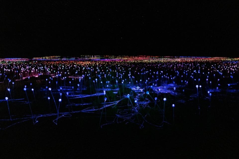 Field of Light in Uluru, Australië