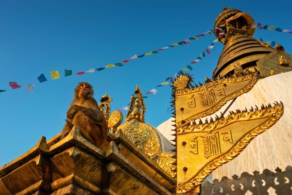 Apentempel Swayambhunath in Kathmandu, Nepal