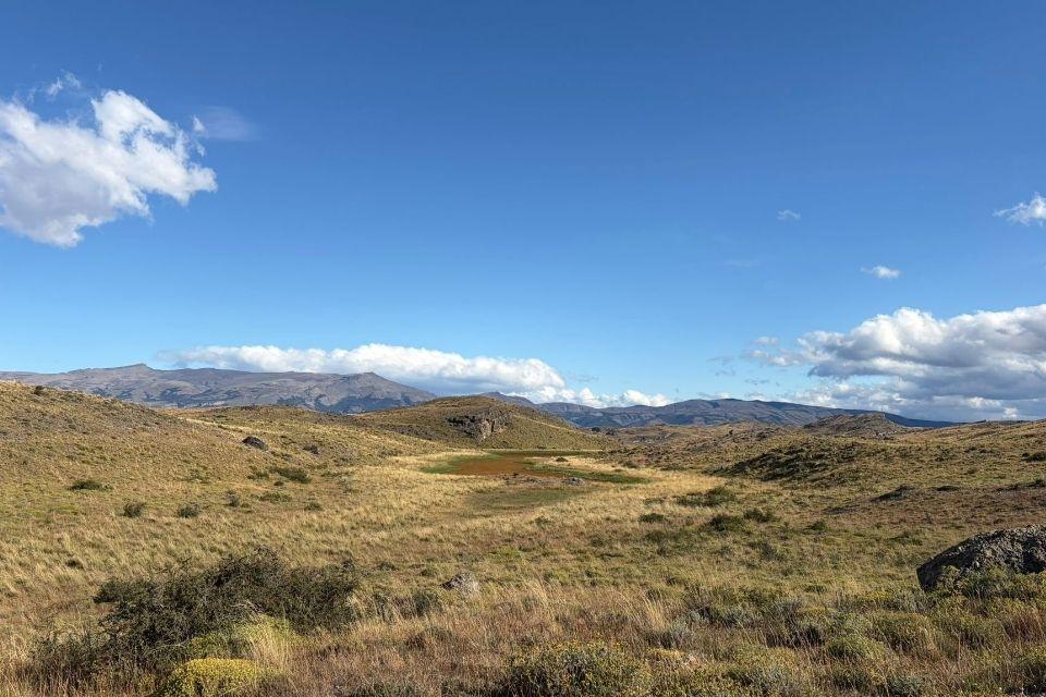 Goudkleurige Patagonische steppe