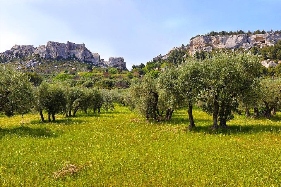 Les Alpilles, Provence, Frankrijk