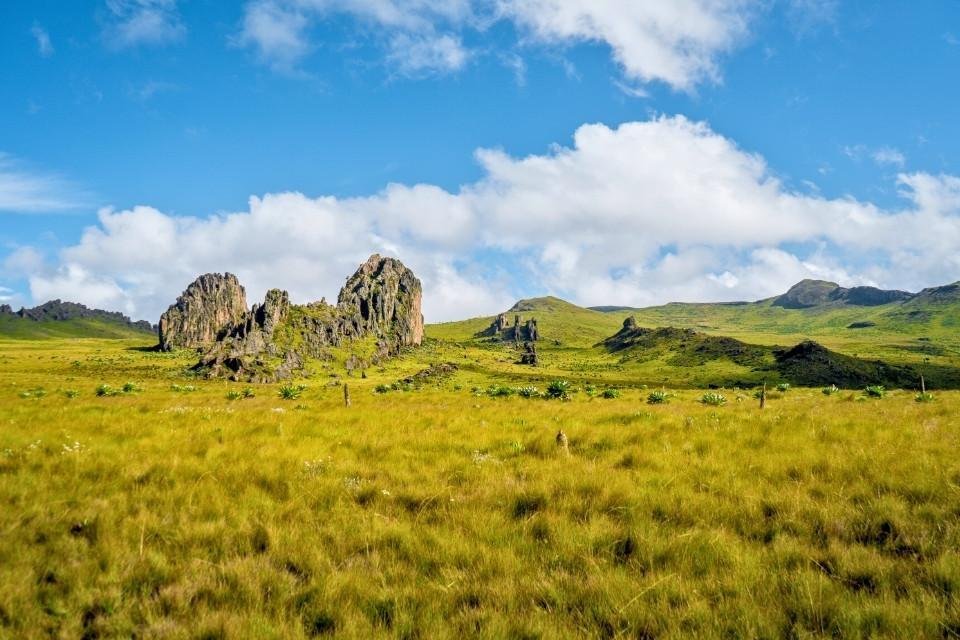 Aberdare National Park, Kenia