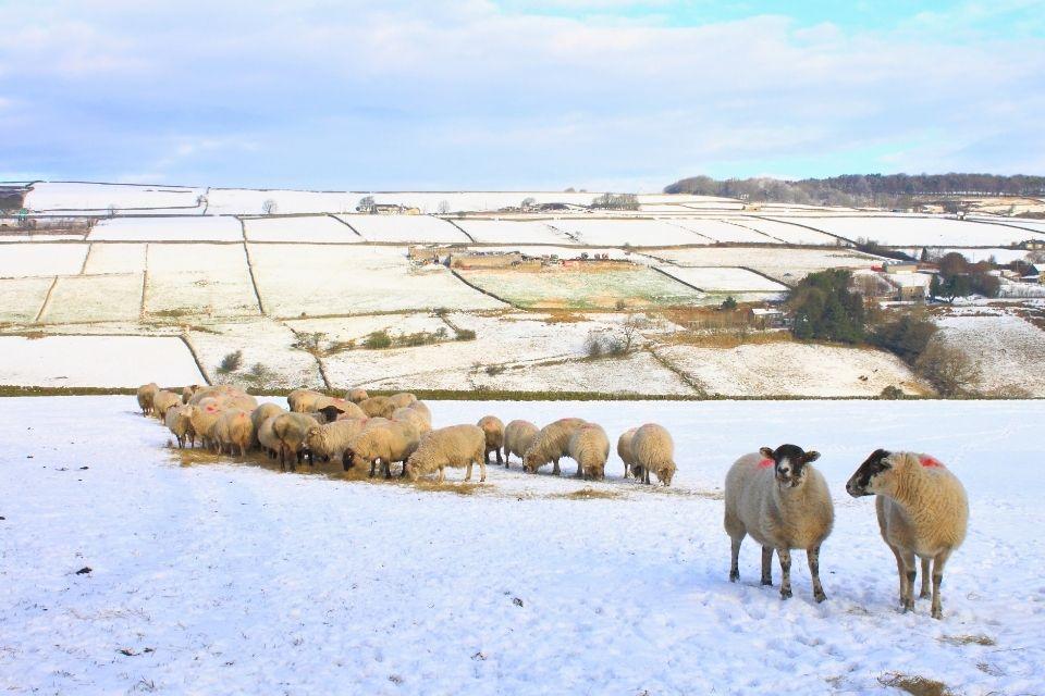 Besneeuwde landerijen in West-Yorkshire Groot-Brittannië
