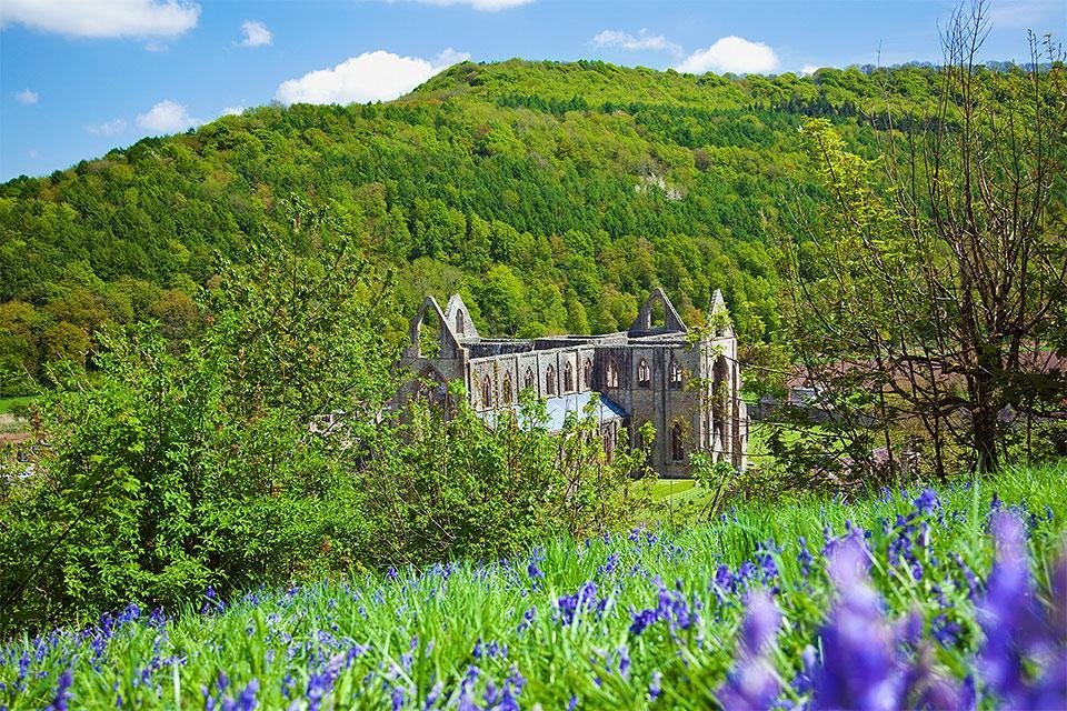 Tintern Abbey, Groot-Brittannië