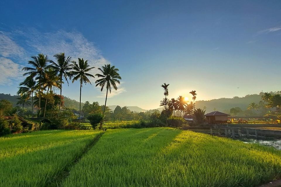 Tomohon, Sulawesi, Indonesië