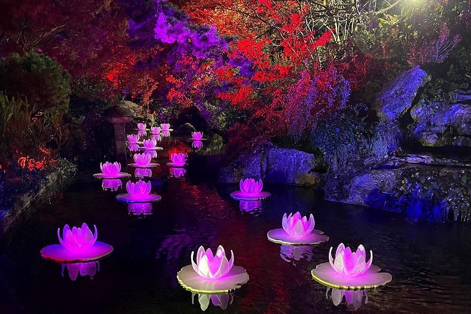 Het lichtjesfestival ‘Trame di Luce’  botanische tuin Rome Italië