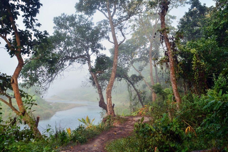 Jungle van Chitwan National Park