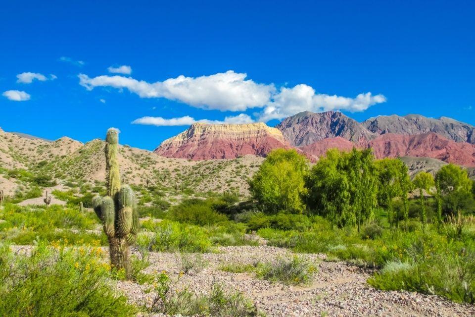 Los Cardones National Park Argentinië