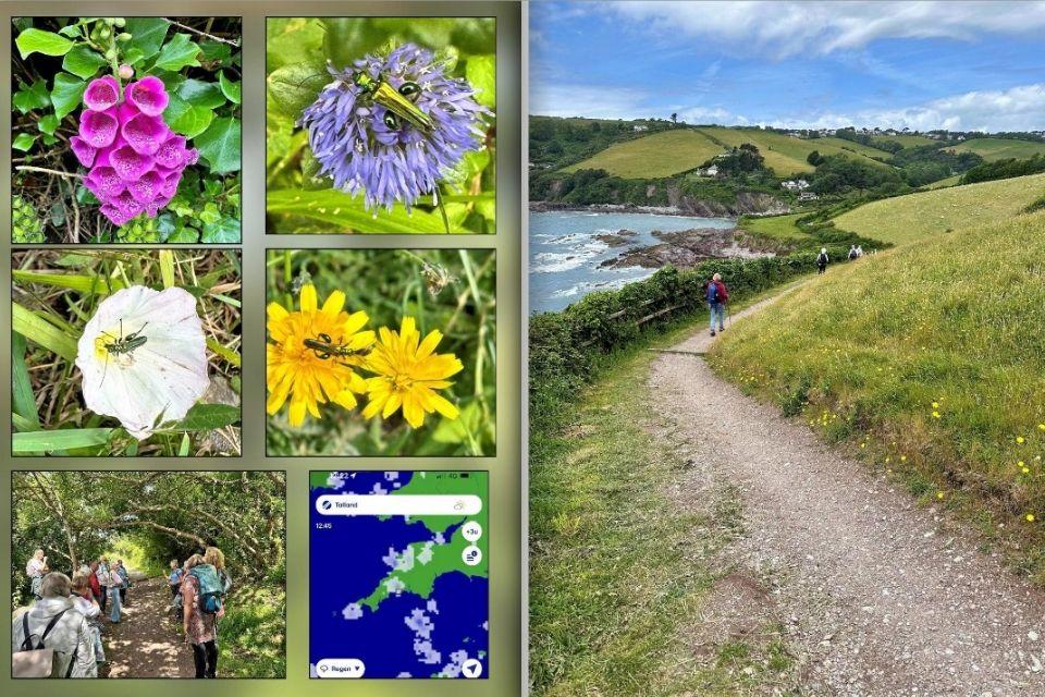 Devon & Cornwall | Foto: Anneke Hagenouw