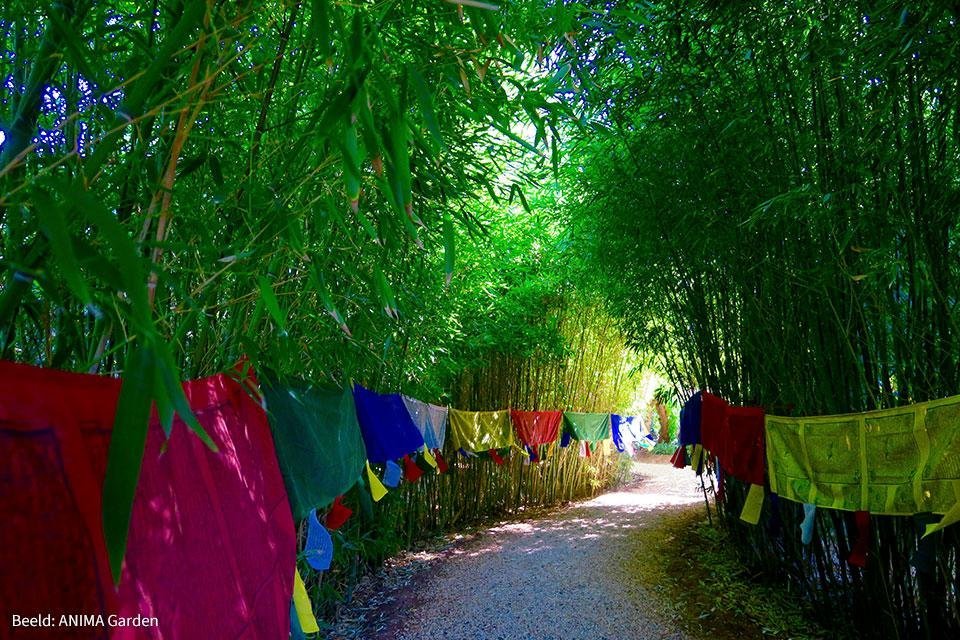 Anima Garden, Marrakech, Marokko | Foto: ANIMA Garden