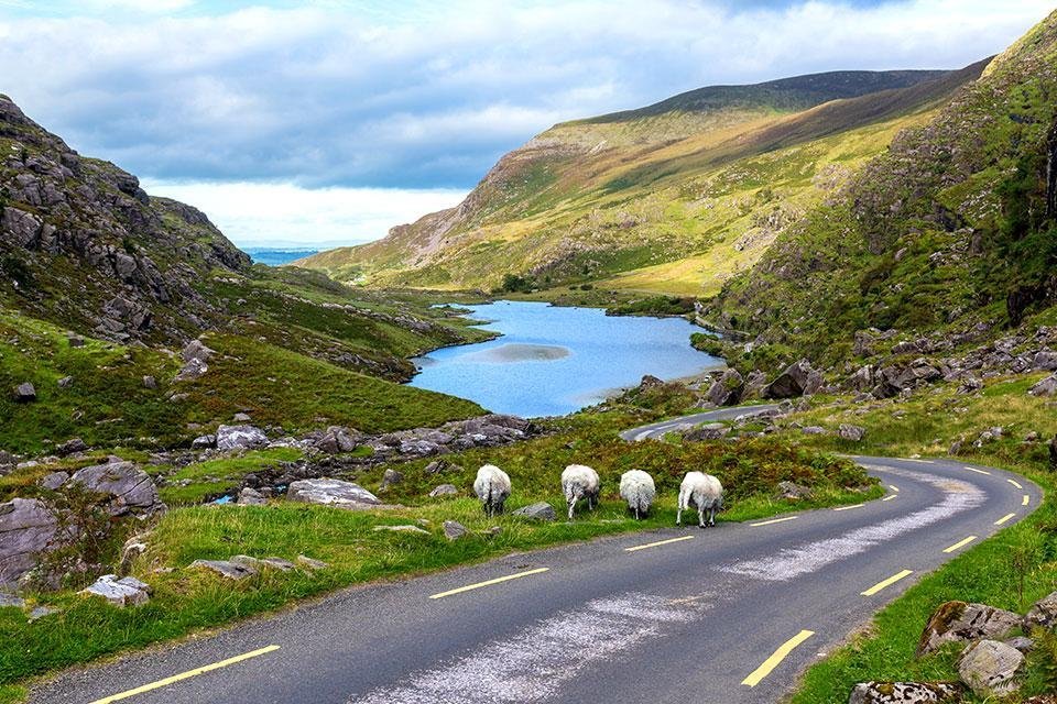 Killarney National Park Ierland