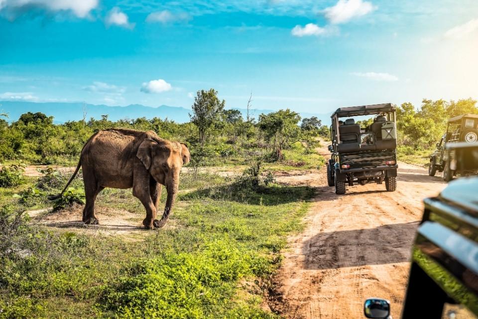 Jeepsafari in Udawalawe, Sri Lanka