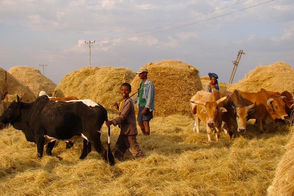 Ethiopië