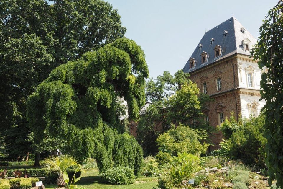 Botanische tuin van Turijn, Italië