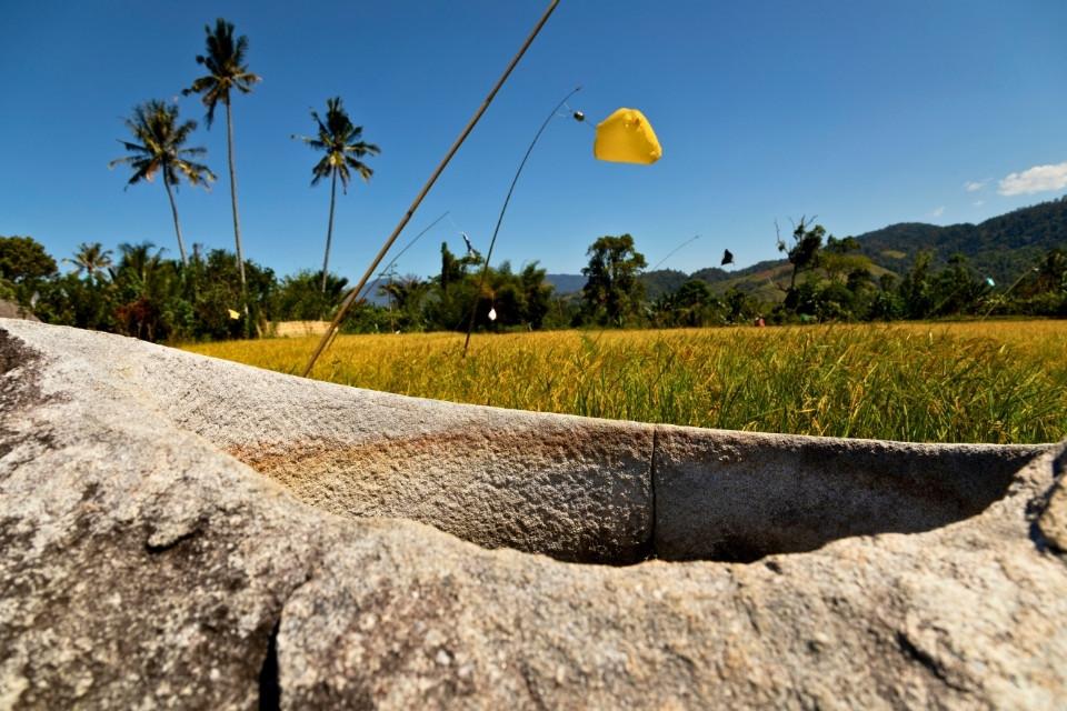 Monoliet in de Bada-vallei, Sulawesi, Indonesië