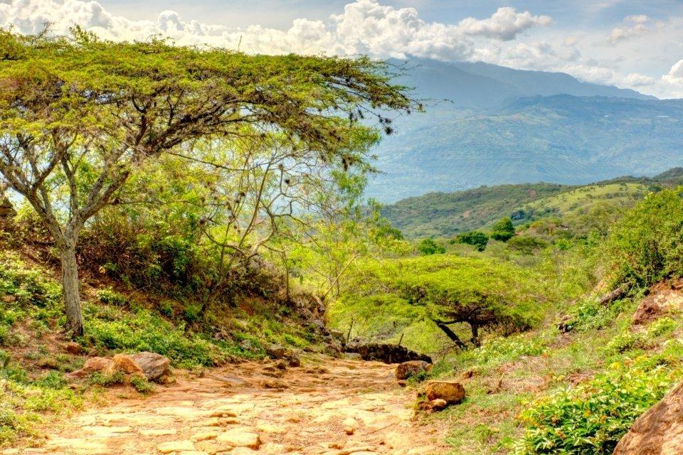 Groen uitzicht vanaf de Camino Real, Colombia