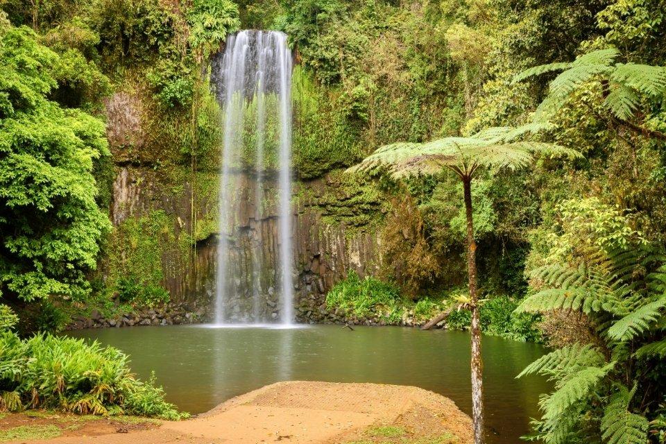De paradijselijke Millaa Millaa Falls, Australië