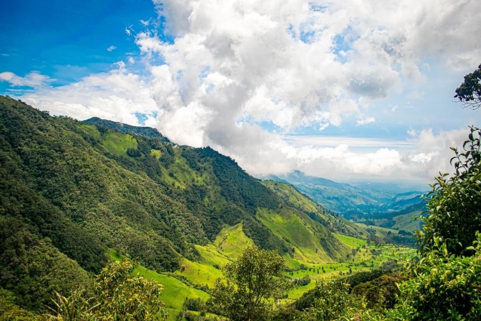 De prachtige Zona Cafetera, Colombia