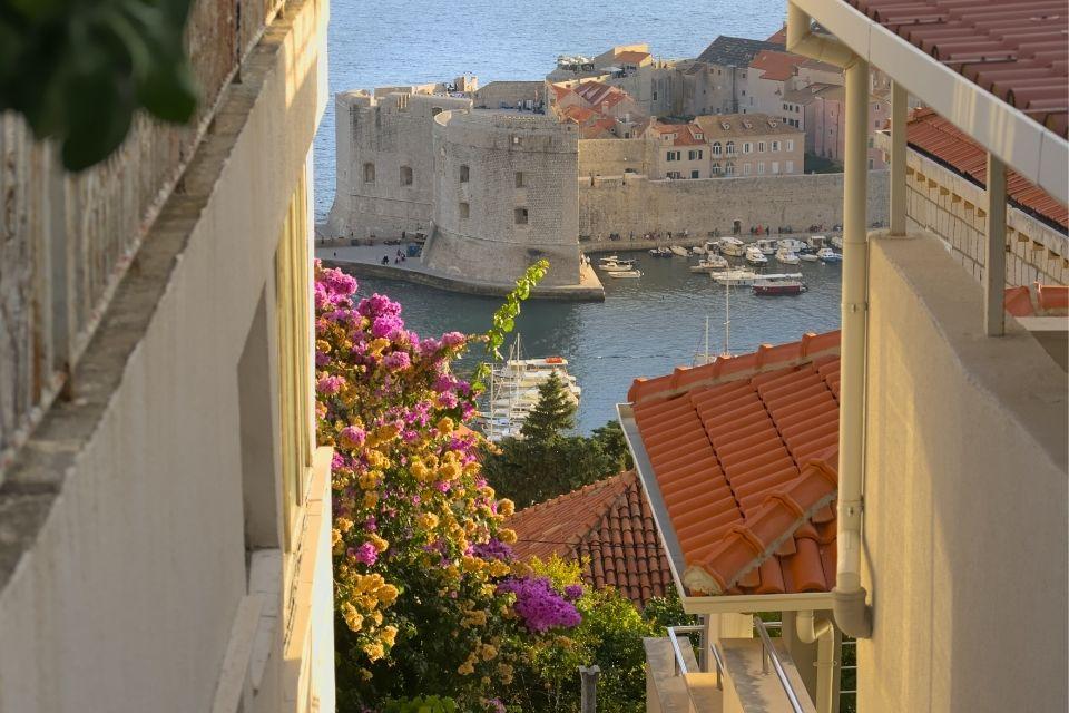 Bougainville in Dubrovnik