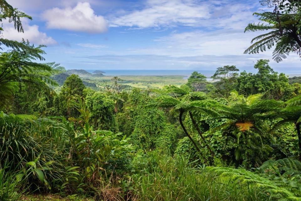 Cape Tribulation, Daintree Rainforest, Australië