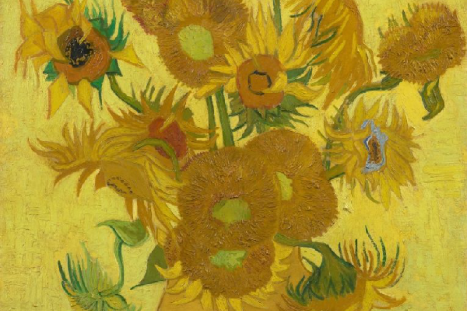 Zonnebloemen, Van Gogh Museum