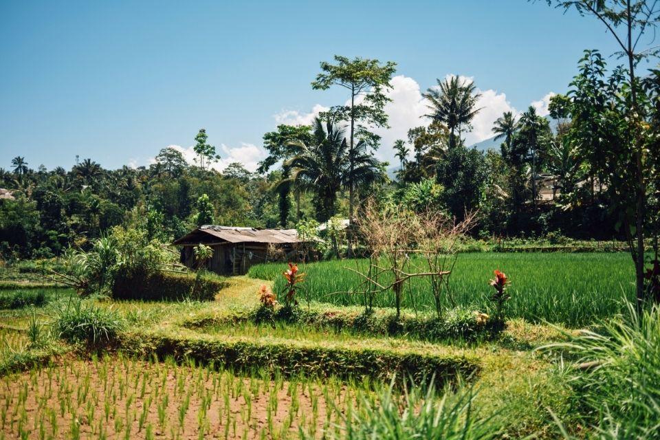 Tetebatu Lombok Indonesië
