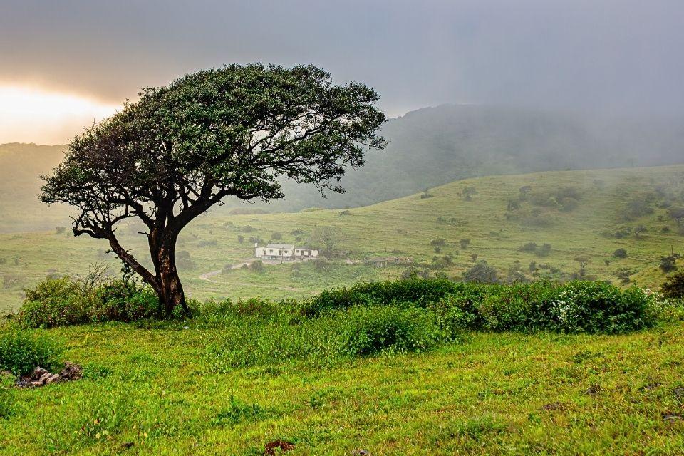 Salalah Oman