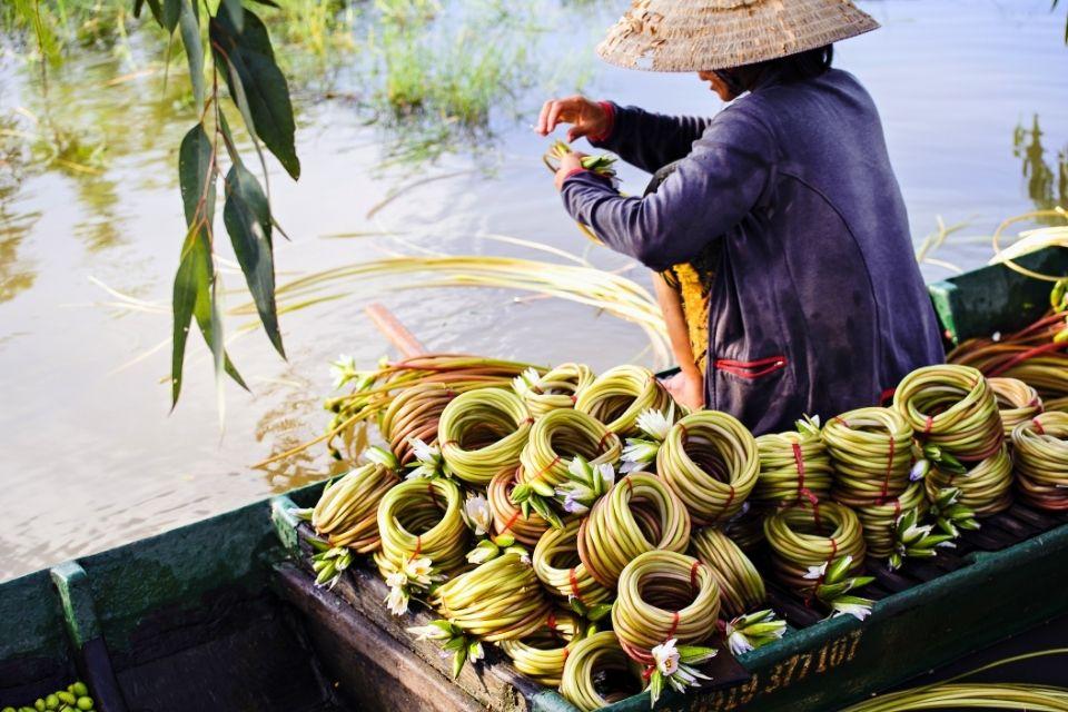 Een vrouw rolt waterlelies in de Mekongdelta Vietnam