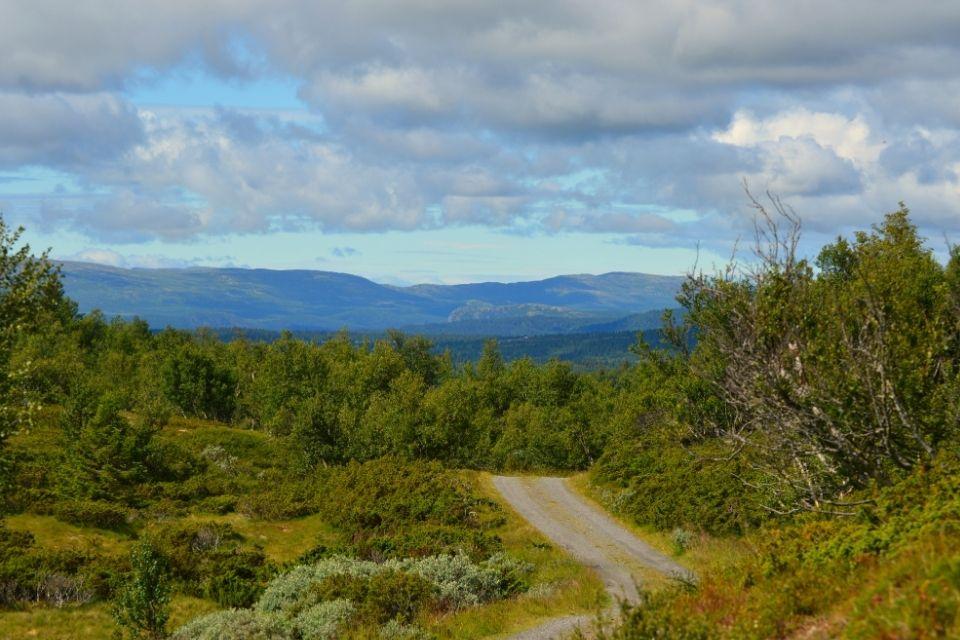 Natuur rondom Skeikampen in Noorwegen