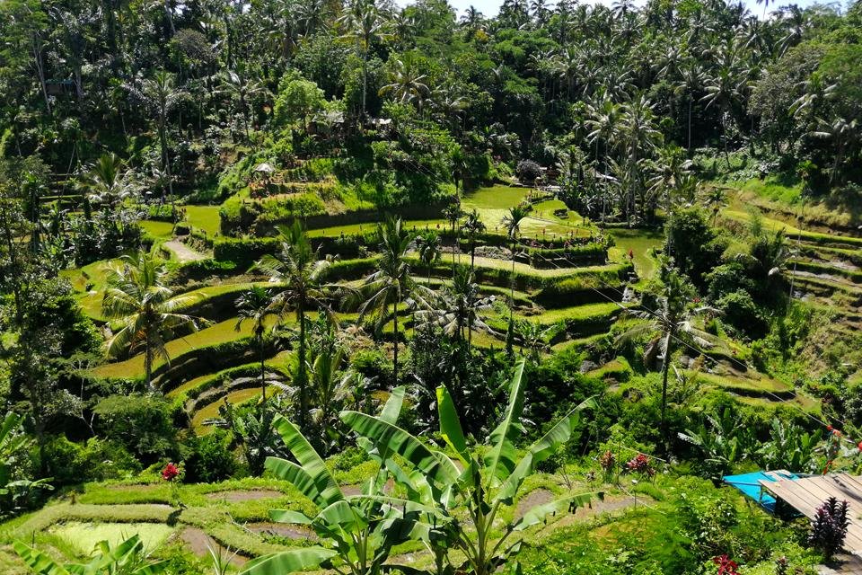 Bali, Indonesië