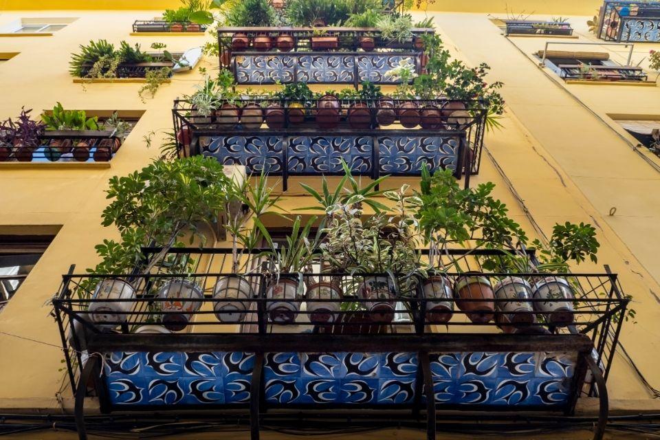 El Carmen in Valencia