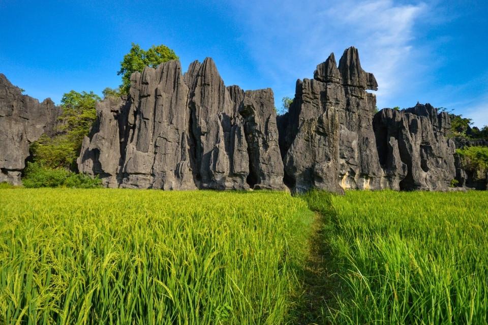 Karstgebergte in Maros, Sulawesi, Indonesië