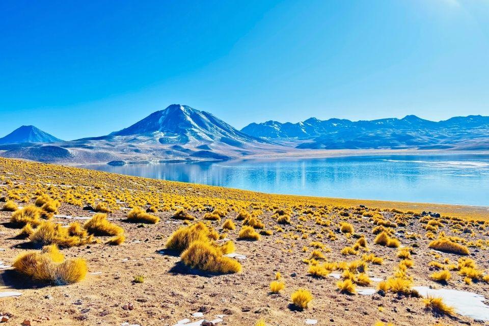 De lagune bij San Pedro de Atacama Atacama-woestijn Chili