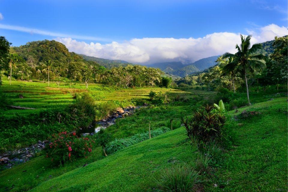 Moni Flores Indonesië