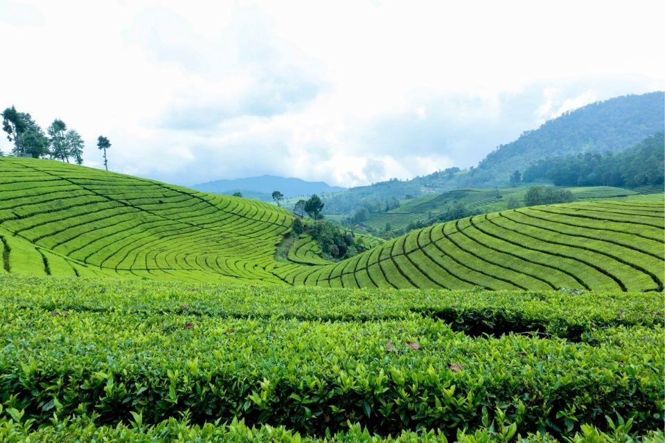 Het landschap van Java, Indonesië
