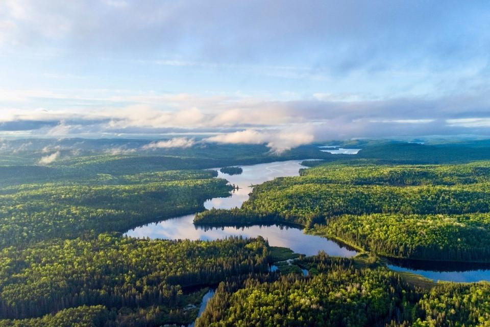 Eindeloze bossen en meren in Algonquin Provincial Park, Canada