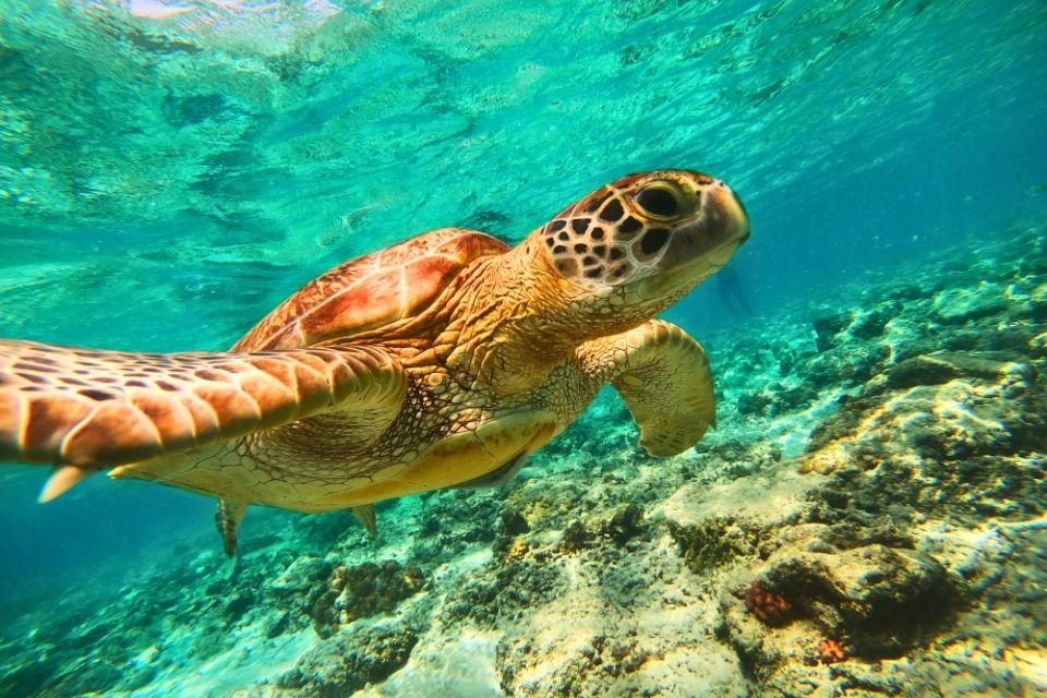 Gili-eilanden Lombok Indonesië