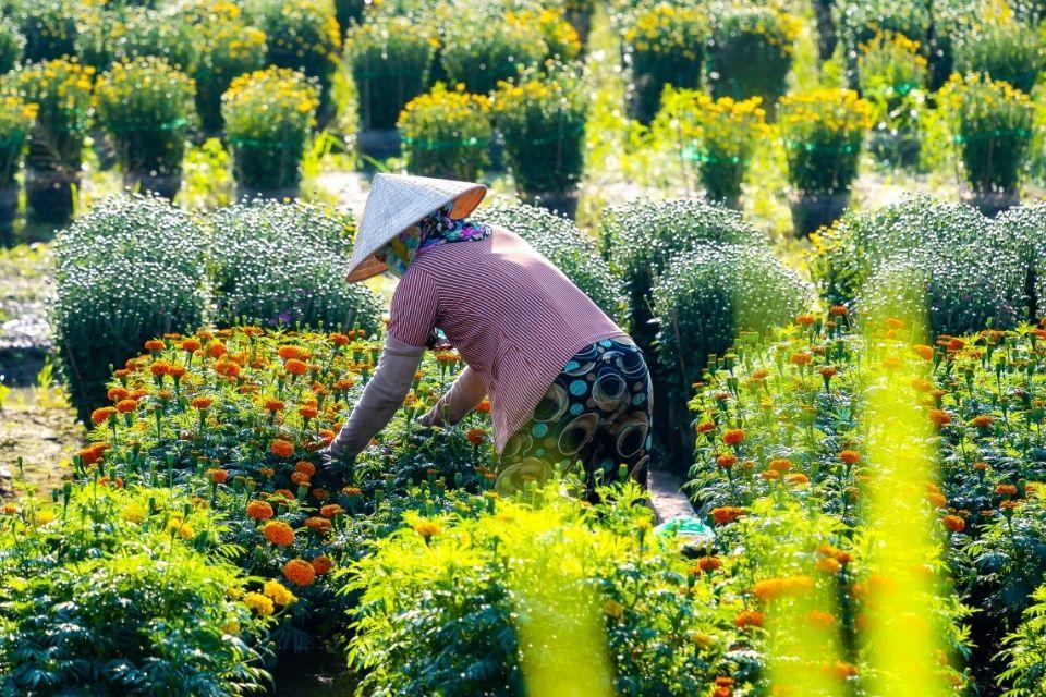 Bloemenkwekerij in de Mekongdelta Vietnam
