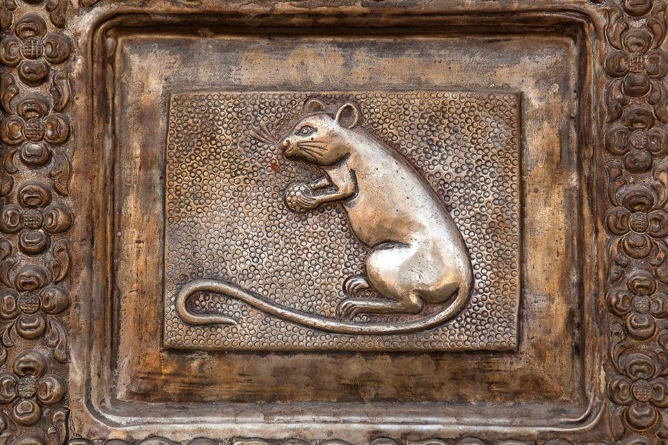 Ratten in de Karni Mata tempel in India