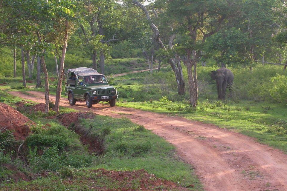 Bandipur National Park India