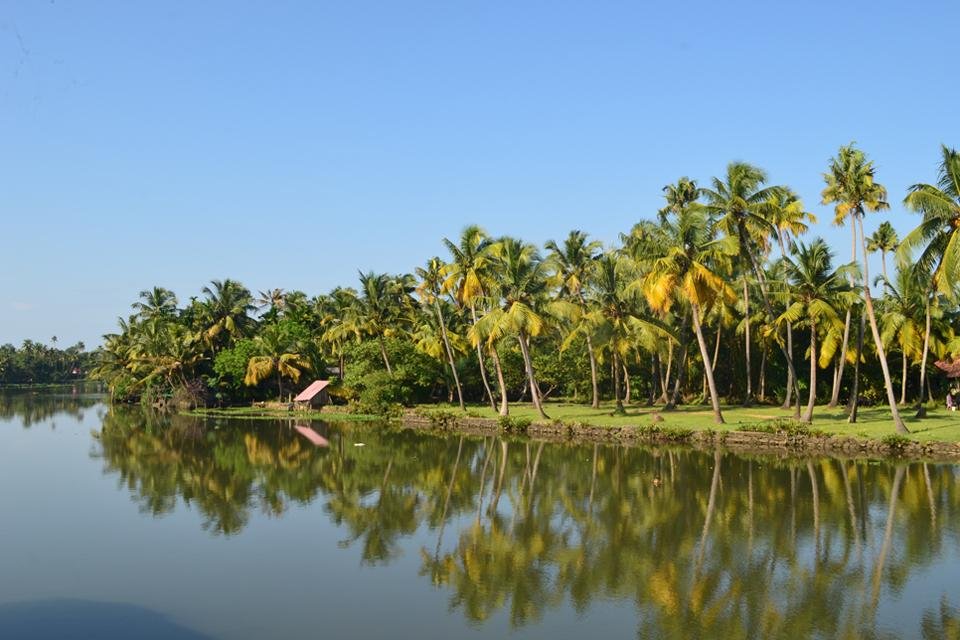 Backwater in Kerala, India