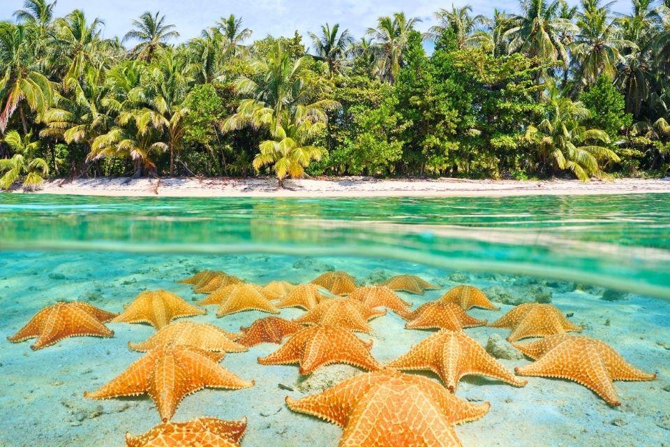 Strand bocas del toro, panama