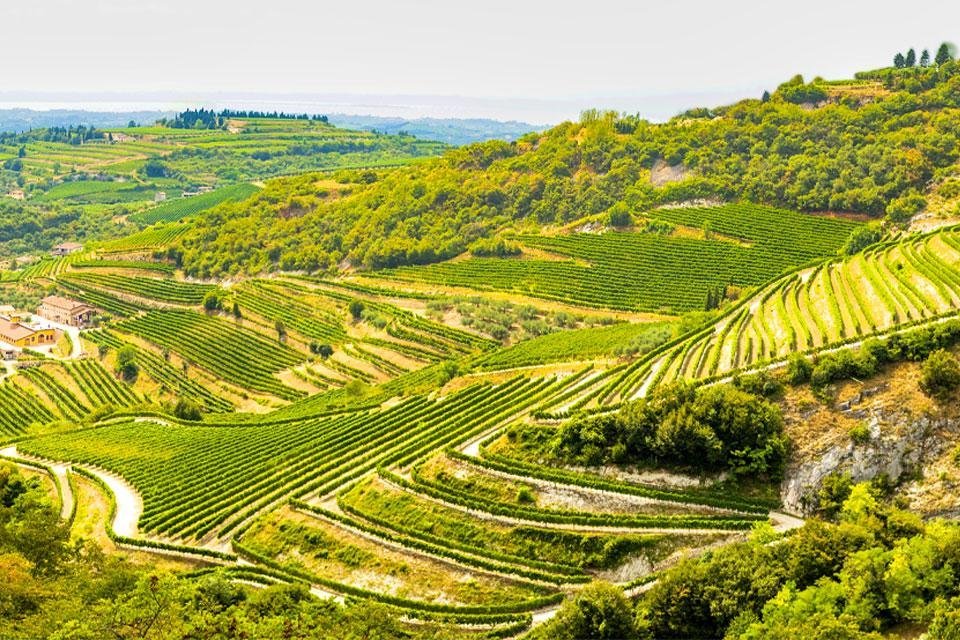 Valpolicella Italië