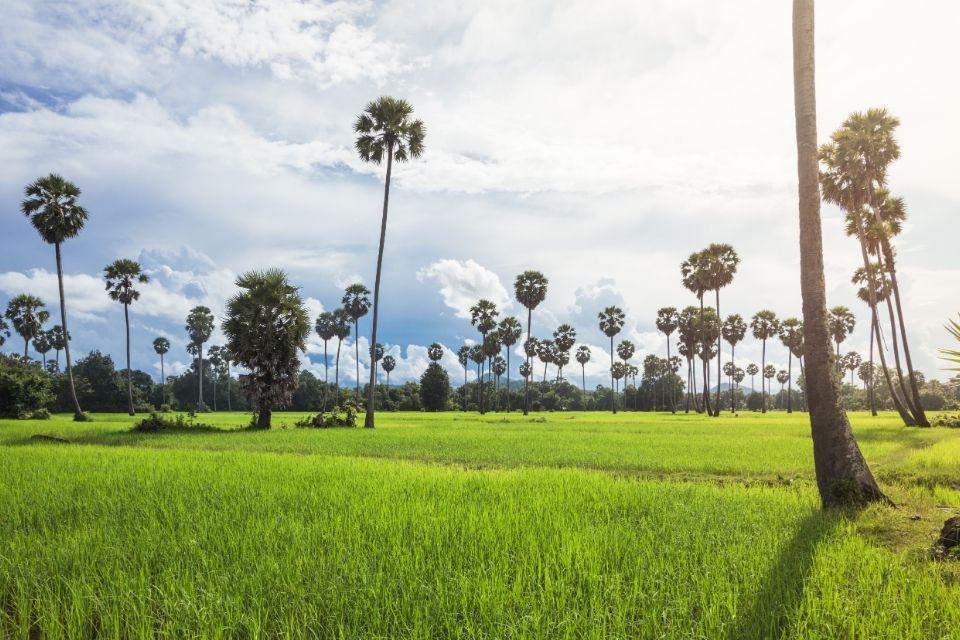Onderweg naar Kampong Chhnang Cambodja 