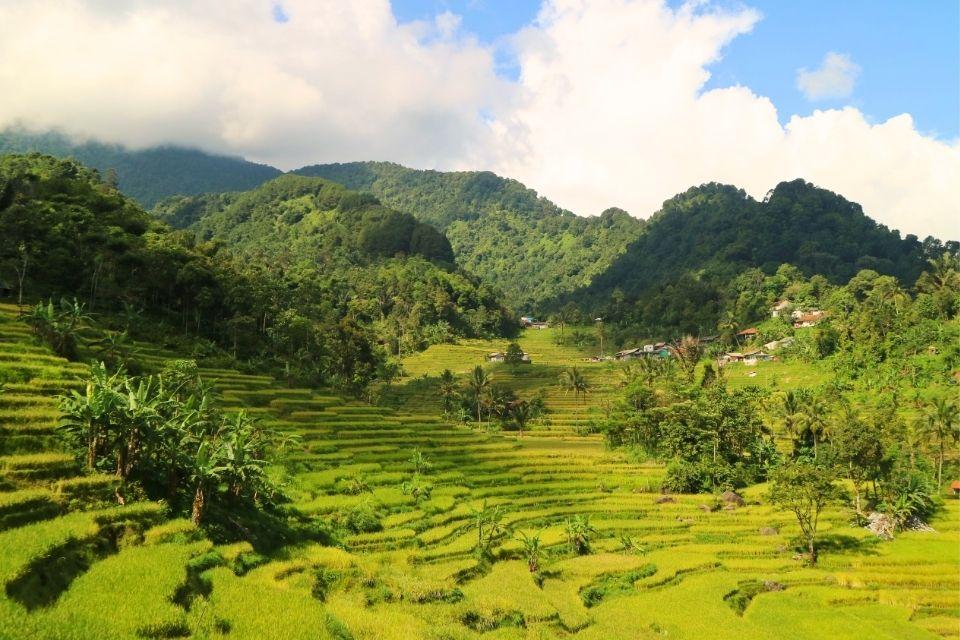 Natuur van Bogor, Indonesië