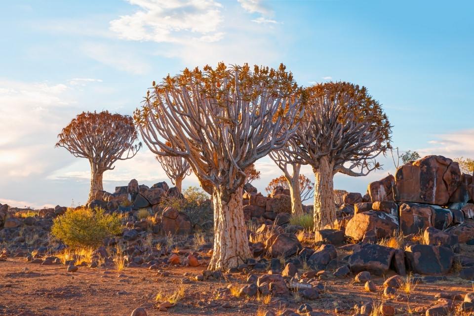 Keetmanshoop, Namibië